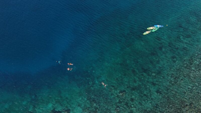 Flamingo Beach: Guided SUP and Snorkeling experience - Weather and Sea Conditions Impacting the Experience
