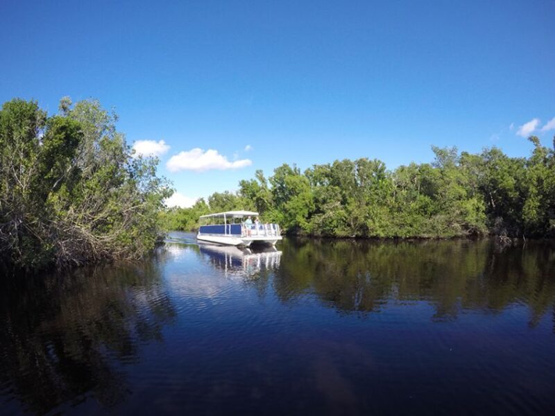 Flamingo Marina: Backcountry Boat Tour of the Everglades - What Makes the Guide Stand Out