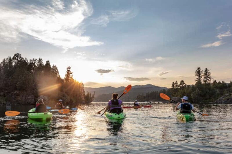 Flathead Lake: Somers Bay Kayak Tour - Key Points