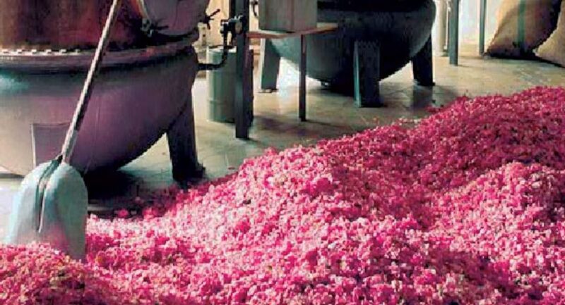 Flavor & Taste of Provence - Is This Tour Worth It?