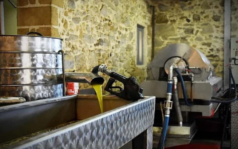 Flavors of Crete from Chania: Wine & Olive Oil Tasting Tour - Visit a Renowned Cretan Winery and Its Wine Museum