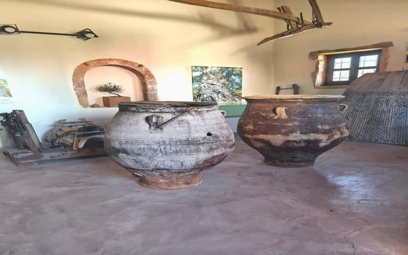 Flavors of Crete from Chania: Wine & Olive Oil Tasting Tour - Who Will Appreciate This Tour?