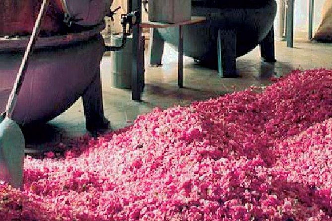 Flavors & Tastes of Provence , Shared & Guided 1/2 Day from Nice - The Charm of Tourettes-sur-Loup and Violet Capital