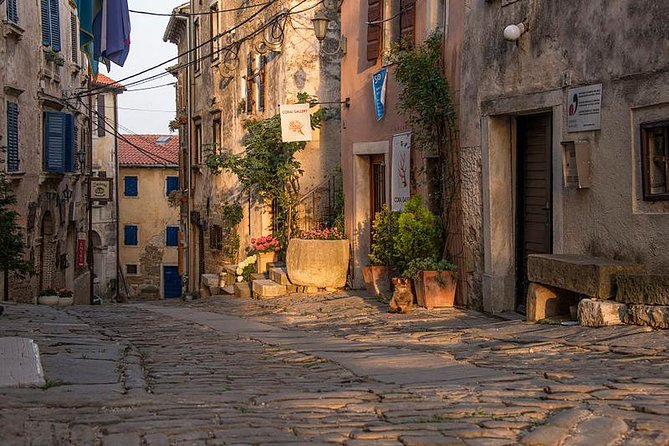 Flavours of Istria Tasting Experience from Koper - Tasting Istrian Wines, Olive Oils, and Local Liquors