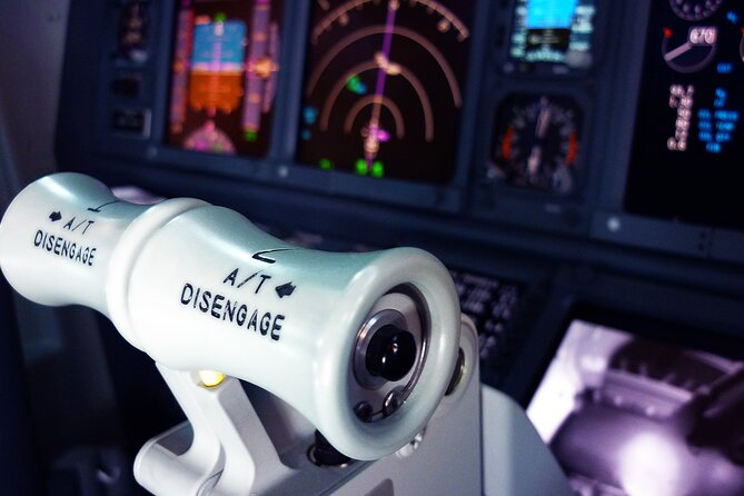 Flight Simulator Experience LONG RANGE 90 Minutes - Starting at the Heart of Turin: The Meeting Point