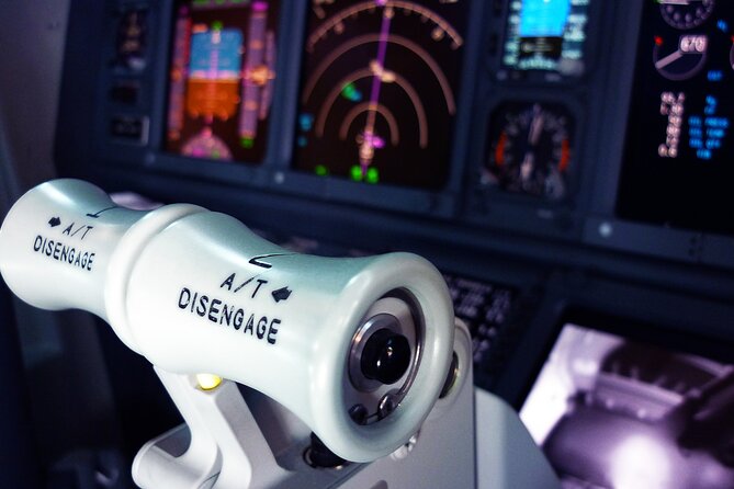 Flight Simulator HI SPEED for 30 Mins - Discover the High-Speed Boeing 737 Flight Simulation in Turin