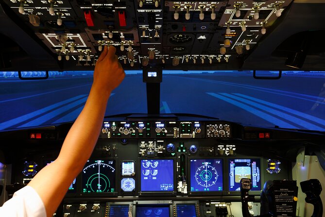 Flight Simulator HI SPEED for 30 Mins - The Flight Experience: What You Will Do