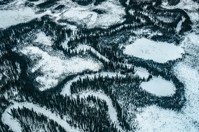 Flightseeing Day Trip from Fairbanks with Lunch - Logistics and Booking Details