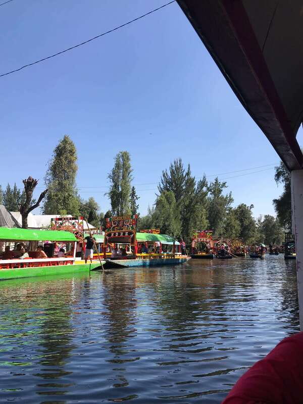 "Floating Party in Xochimilco: Canals, Tequila, and Tradition" - The Trajinera Boat Ride: A Colorful Journey Through Mexican Canals
