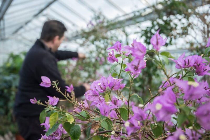 Floors Castle Autumn/Winter Garden Only Ticket - Key Points