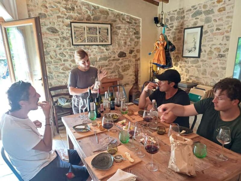 Florence: 2-Day Chianti E-Bike Adventure to Siena - Day 1: From Florence to Panzano in Chianti