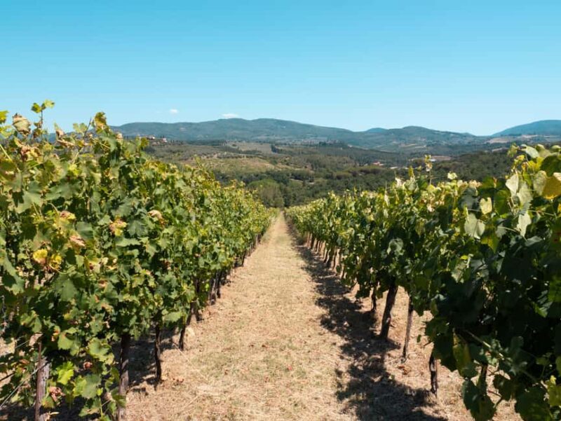 Florence: 9 Holes Golf in Chianti and Wine Tasting - Florence: 9 Holes Golf in Chianti and Wine Tasting – An Authentic Tuscan Day