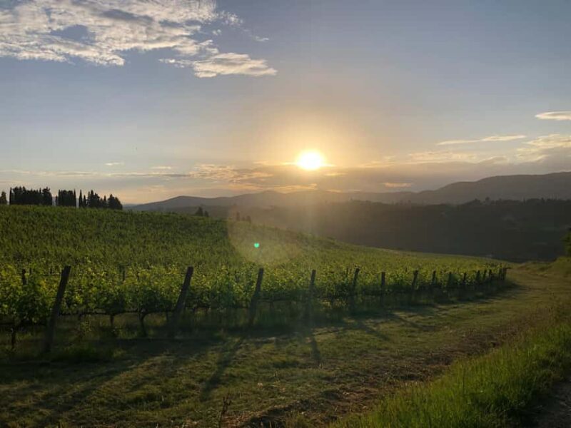 Florence: 9 Holes Golf in Chianti and Wine Tasting - Playing 9 Holes at the Historic Chianti Golf Course