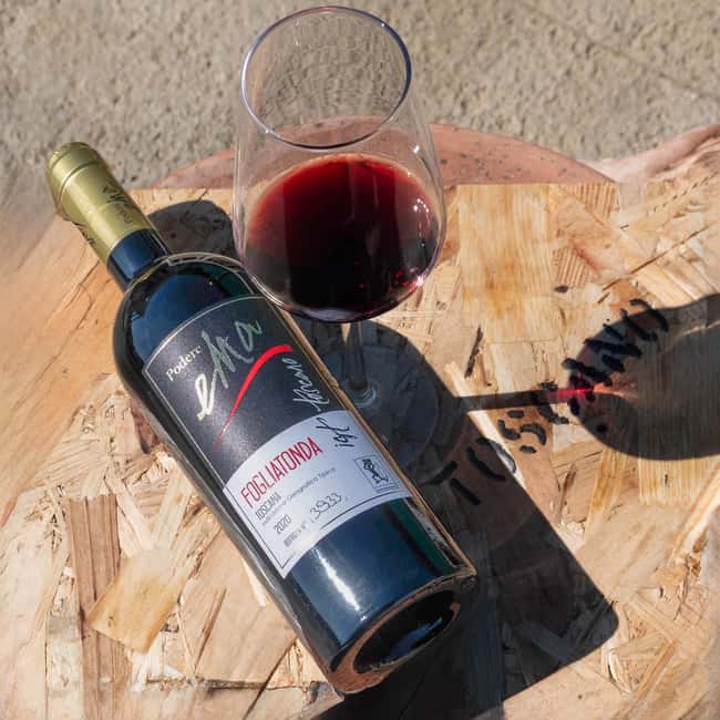 Florence: 9 Holes Golf in Chianti and Wine Tasting - The Light Tuscan Lunch Paired with Fine Wines