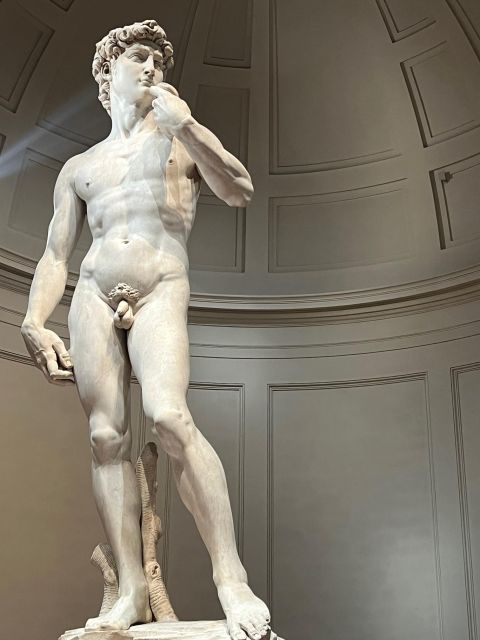 Florence: Accademia Gallery Guided Tour and Priority Entry - Key Points