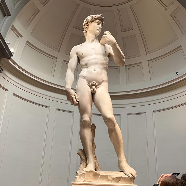 Florence: Accademia Reserved Ticket & Michelangelo's David - Marvel at Michelangelo’s David Up Close