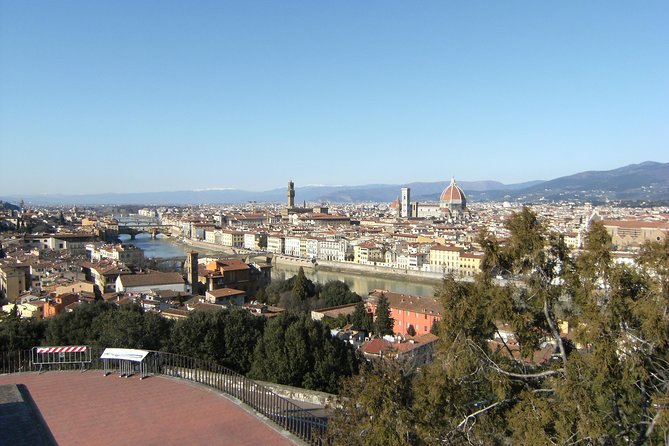 Florence and Pisa Shore Excursion from Livorno - Flexibility and Customization Options