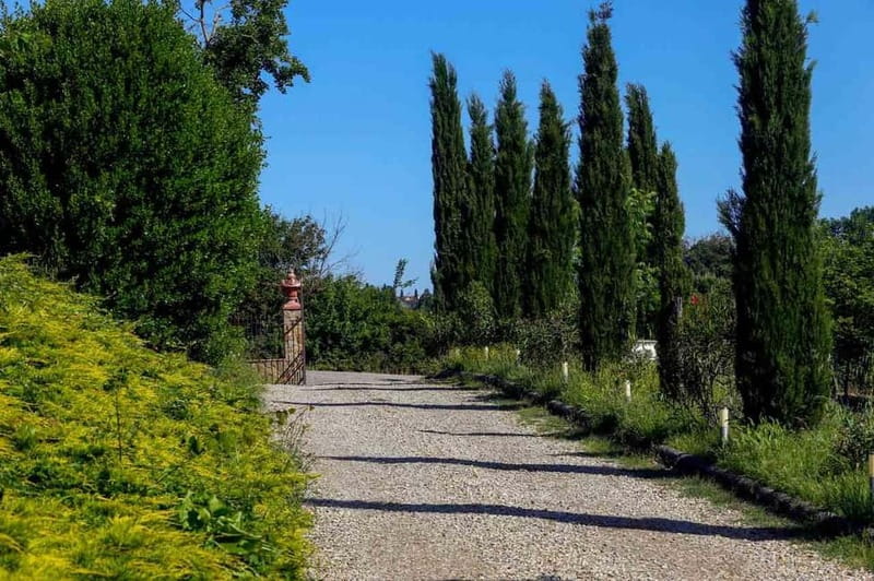 Florence by E-Bike: Hidden Hills & Local Thrills - Key Points