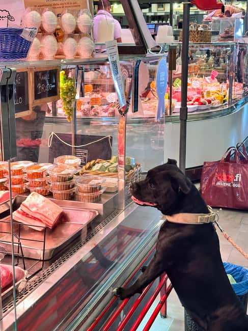 Florence: Cheese and Wine Tasting in Local Market - Practical Details: How to Join and What to Expect