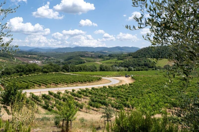 Florence: Chianti E-Bike Tour with Wine Tasting and Lunch - Lunch at a Traditional Tuscan Farm