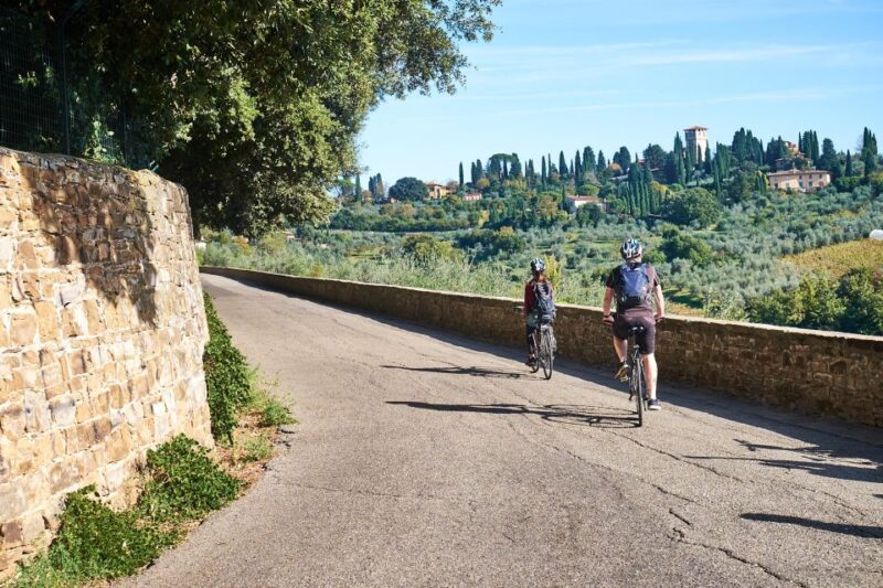 Florence: Chianti Hills Bike Tour with Farm Lunch & Wine - Discover the Charm of the Chianti Hills by Bike