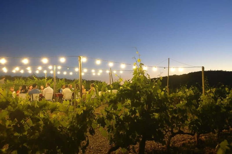 Florence: Chianti Vineyards Tour with Wine Tasting & Dinner - Sunset and Candlelit Atmosphere in the Vineyards
