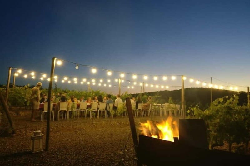 Florence: Chianti Vineyards Tour with Wine Tasting & Dinner - Logistics: Meeting Point and Transport