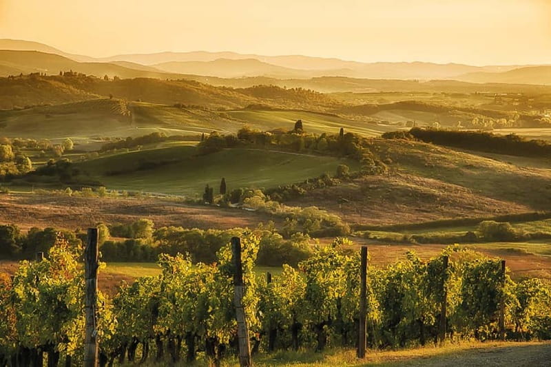 Florence: Chianti Vineyards Tour with Wine Tasting & Dinner - Who Will Most Appreciate This Tour?