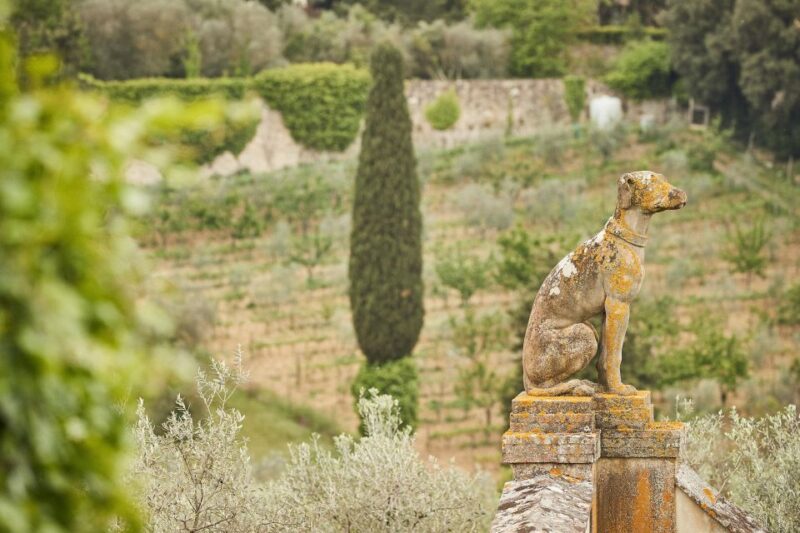 Florence, Chianti Wine Tasting & Tour, Medici Villa - Practical Tips for Booking and Enjoying Your Visit