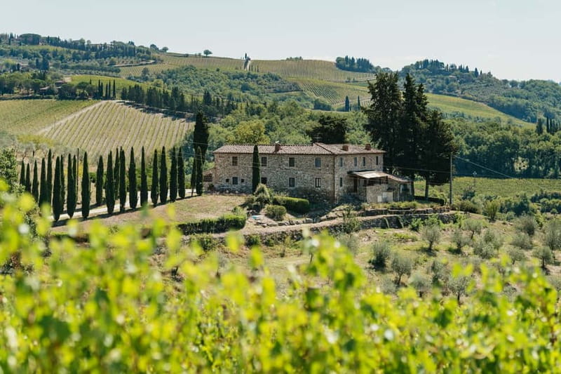 Florence: Chianti Wineries Tour with Wine Tasting - An Authentic Chianti Wine Experience Close to Florence