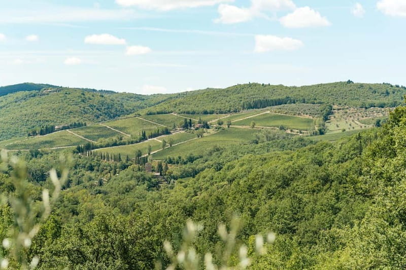 Florence: Chianti Wineries Tour with Wine Tasting - Exploring the First Winery and Its Vineyards