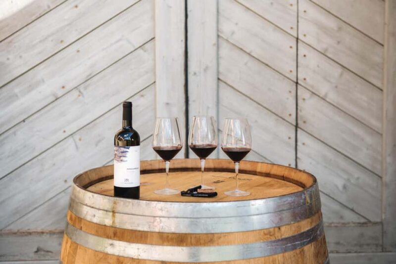 Florence: Cooking class and wine tasting - Exploring the Cooking Classes: From Basic to Advanced