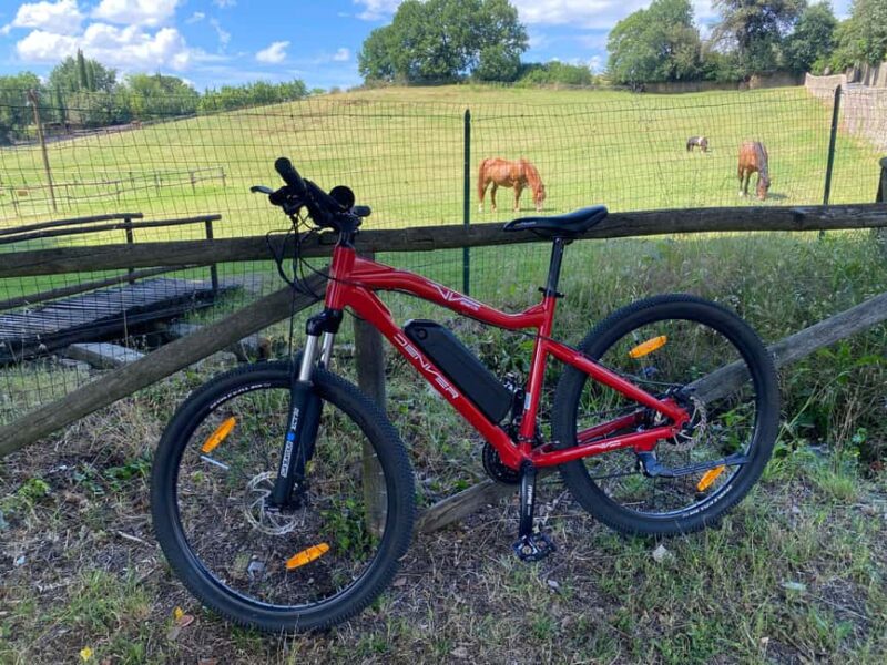 Florence Countryside 2.5h Premium E-Bike Tour + Photo Shoot - The Panoramic View from Piazzale Michelangelo