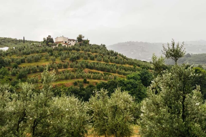 Florence: Countryside Vintage Fiat 500 Driving Tour - Visiting Florence’s Oldest Church and Historic Villages