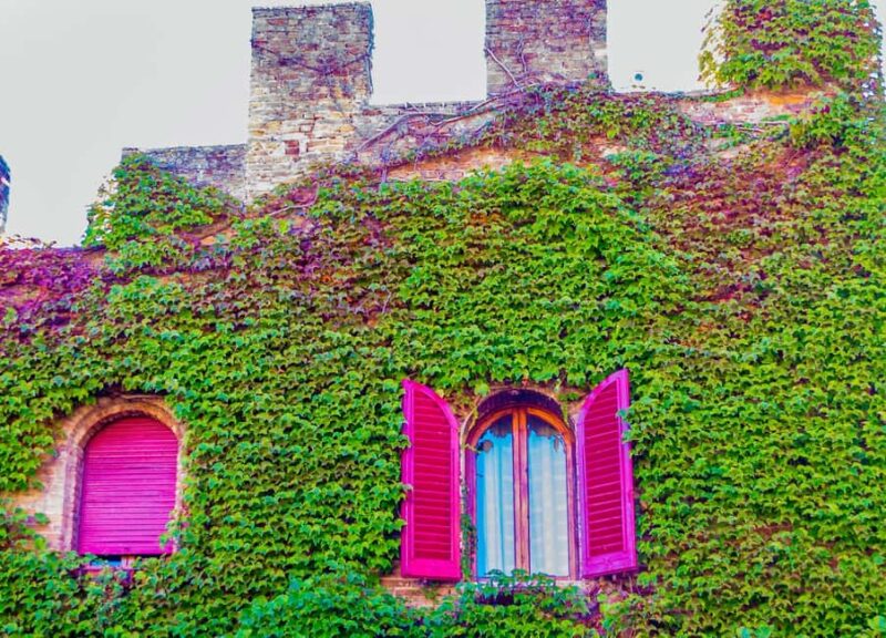 Florence Day Trip: Chianti Tour & Cooking Class - Discover Florence’s Surroundings on a Chianti & Cooking Tour