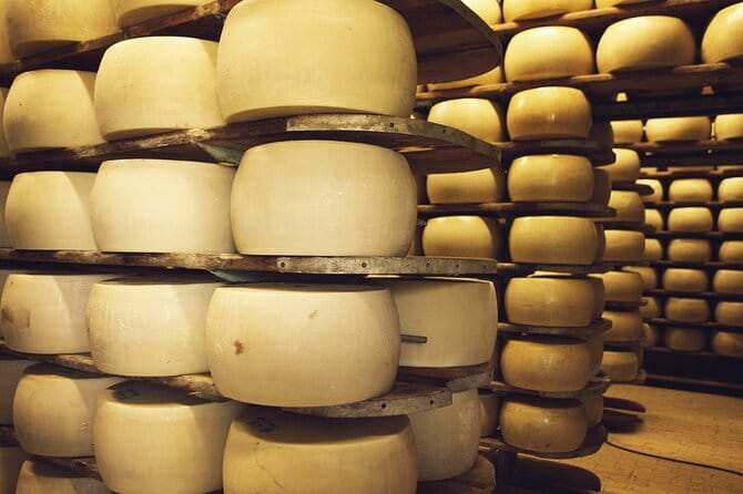 Florence Day Trip: Pisa, San Gimignano and Siena with Lunch - The Vineyard Stop and Tuscan Wine Tasting Experience