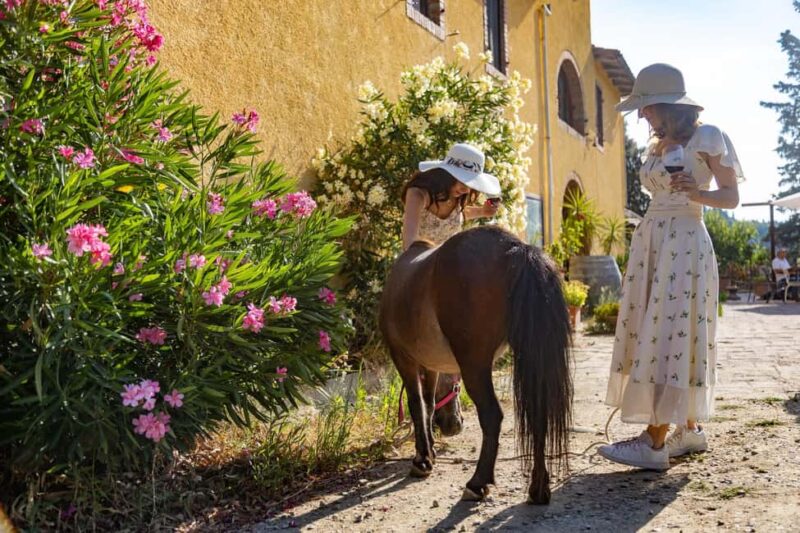Florence: Farmhouse Picnic surrounded by nature - From Florence to the Tuscan Countryside