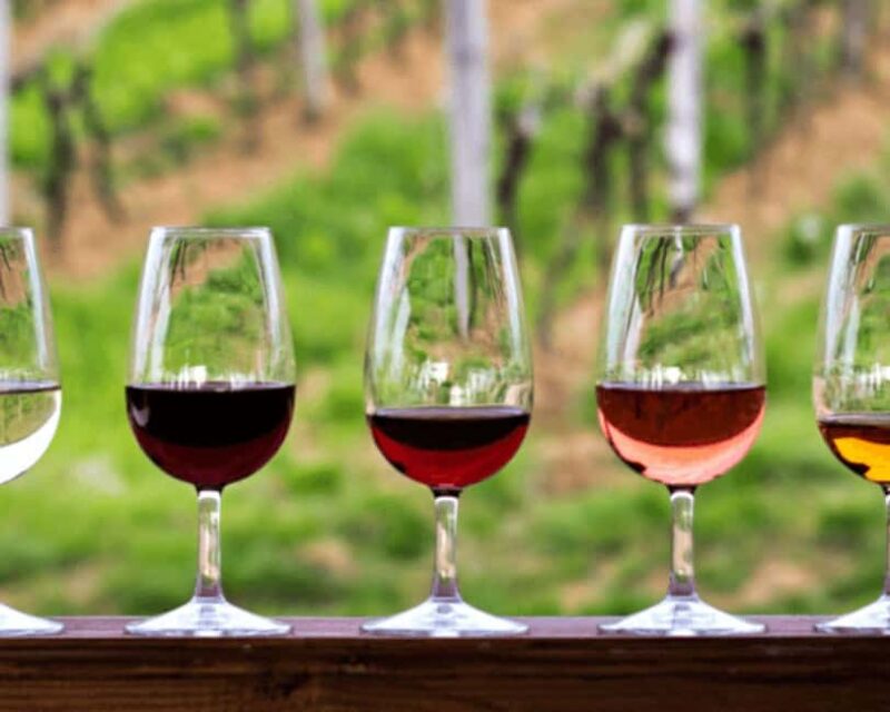 Florence: Half Day Private Tuscany Wine Tour with 2 Wineries - Key Points