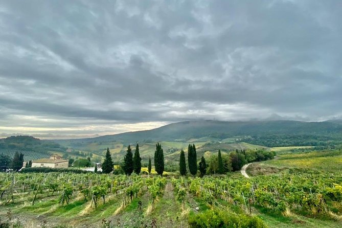 Florence Highlights from Livorno Port - Discovering Piazza della Signoria and Palazzo Vecchio