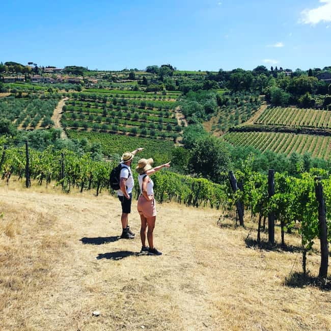 Florence: Hiking Tuscany & Chianti wine 3 wineries and lunch - Exploring Chianti Classico on Foot