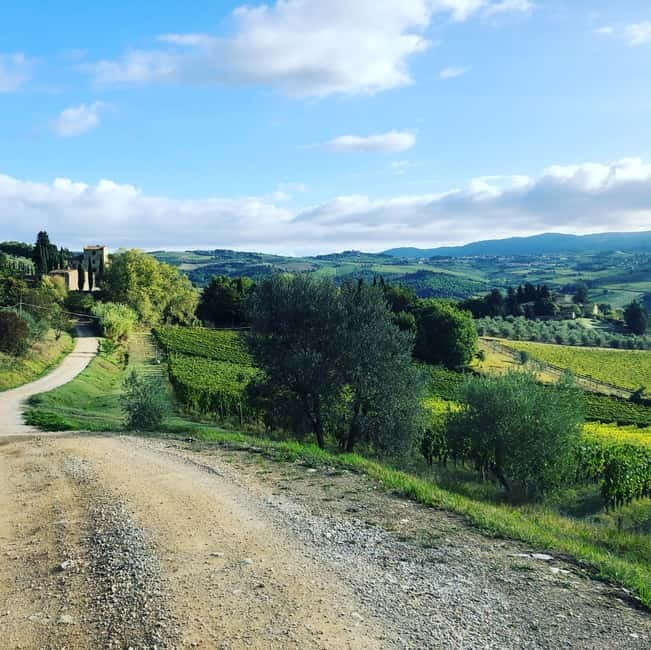 Florence: Hiking Tuscany & Chianti wine 3 wineries and lunch - Scenic Drive Through the Chianti Countryside