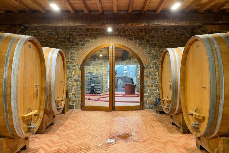 Florence: Hiking Tuscany & Chianti wine 3 wineries and lunch - Visiting a Modern Winery Created by Artists