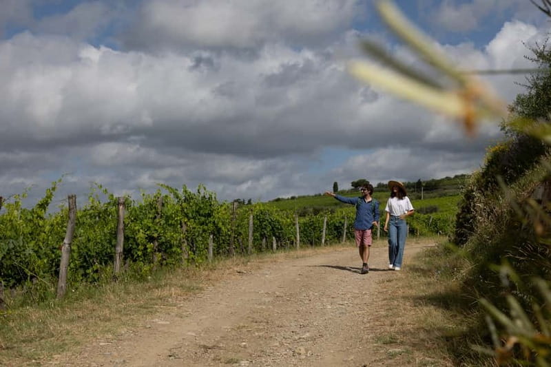 Florence: Hiking Tuscany & Chianti wine 3 wineries and lunch - The Role of Guides in Creating a Memorable Experience