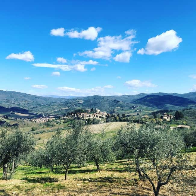 Florence: Hiking Tuscany & Chianti wine 3 wineries and lunch - Practicalities and Logistics
