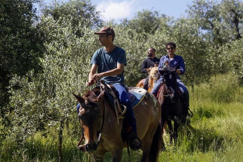 Florence: Horseback Riding & Aperitivo in the Chianti - The Tour Starts in Florence with Easy Pickup