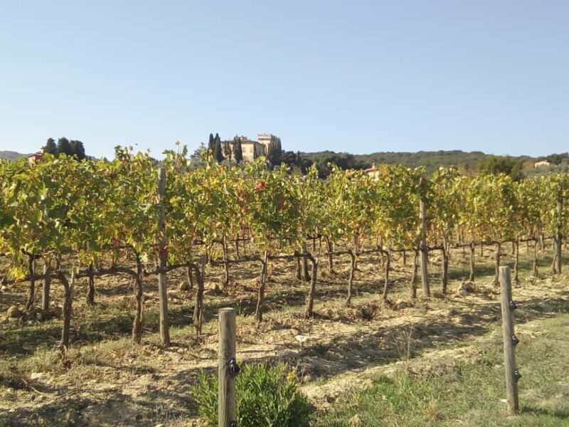 Florence: Horseback Riding Tour with Wine Tasting & Transfer - Key Points