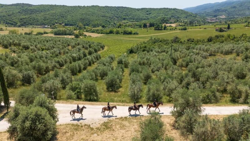 Florence: Horseback Riding Tour with Wine Tasting & Transfer - Learning to Ride with Expert Guidance