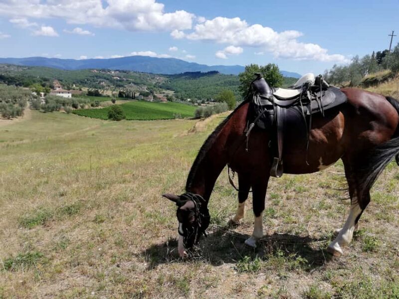 Florence: Horseback Riding Tour with Wine Tasting & Transfer - Why This Tour Excels in Customer Satisfaction