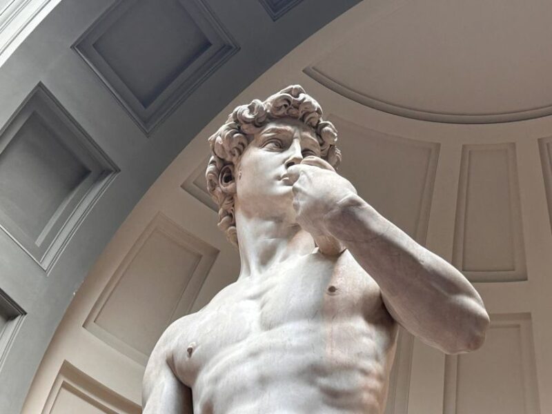 Florence: Michelangelo's David Entrance Ticket and Audio App - Meeting Point, Entrance, and Visitor Logistics