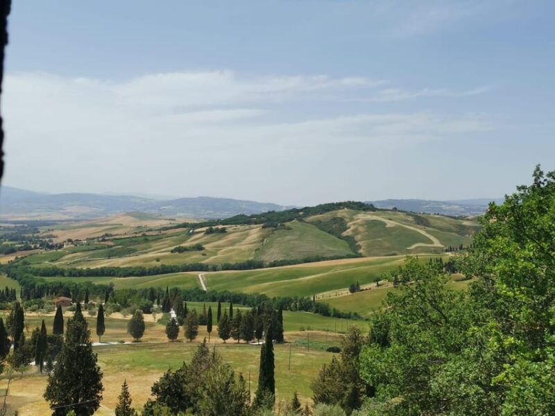 Florence: Montepulciano, Pienza, & Montalcino Private Trip - Scenic Return to Florence